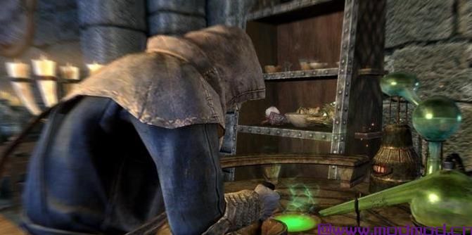 上古卷轴5：天际MOD 上古卷轴5：天际巴亚马塔v1.0 汉化版