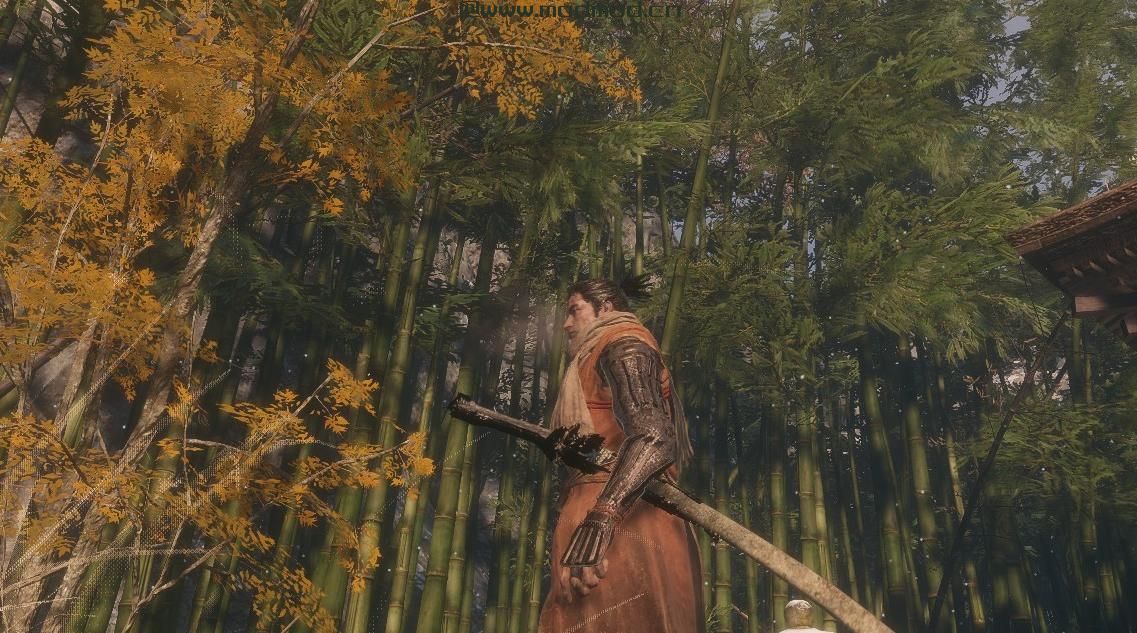 只狼：影逝二度MOD 来自黑魂3的嗜血武士刀（Bloodlust katana from Dark Souls 3）