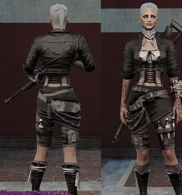 辐射4MOD Rogue Outfit  -  CBBE