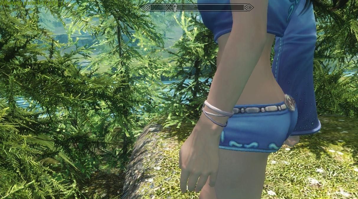 上古卷轴5：天际MOD fox24自改UNPB TBBP