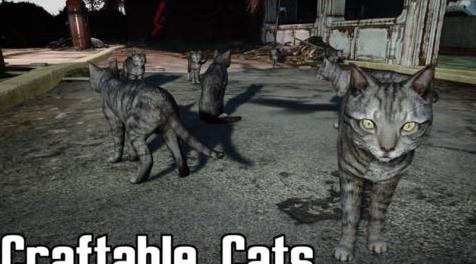 辐射4MOD Craftable Cats