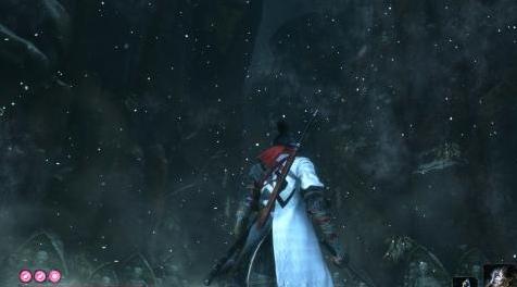 只狼：影逝二度MOD Blade of the Immortal coat