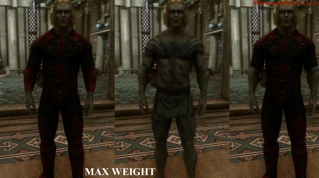 上古卷轴5：重置版MOD 修正了Max Weight Dark Brotherhood Armor SE
