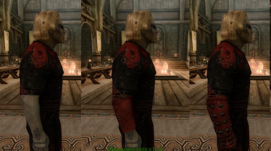 上古卷轴5：重置版MOD 修正了Max Weight Dark Brotherhood Armor SE