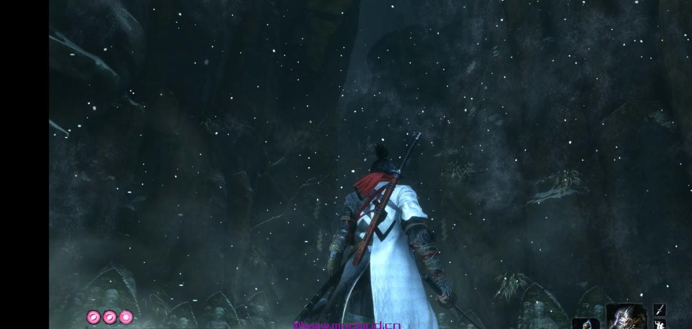 只狼：影逝二度MOD Blade of the Immortal coat