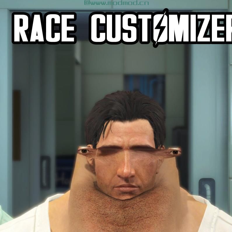 辐射4MOD RaceCustomizer