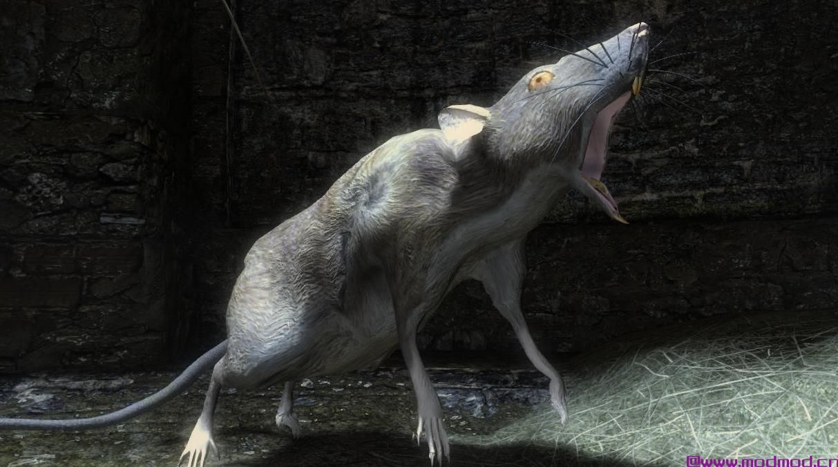 上古卷轴5：重置版MOD 巨鼠 - 米哈伊尔怪物和动物（SSE PORT）