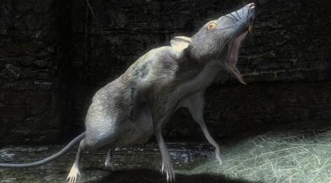 上古卷轴5：重置版MOD 巨鼠 - 米哈伊尔怪物和动物（SSE PORT）