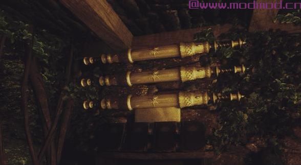 上古卷轴5：天际MOD Canal-Thief player home in Riften：隱藏在裂谷城下水道的盜賊用公寓(普通版（女性)汉化版