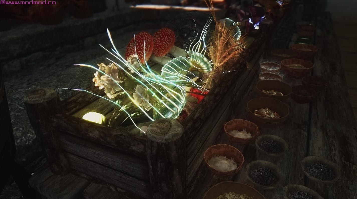 上古卷轴5：天际MOD 雪漫大树营地