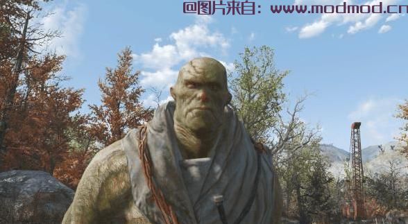 辐射4MOD HD DLC生物纹理返工