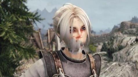 上古卷轴5：天际MOD 白色战士