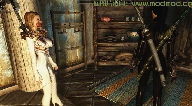 上古卷轴5：天际MOD 背双刀MOD