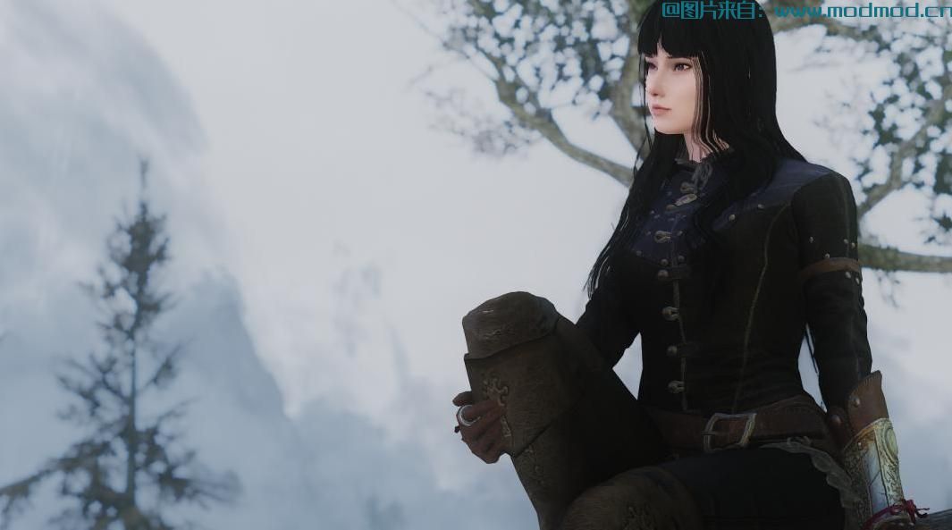 上古卷轴5：重置版MOD Kiara  -  Racemenu预设