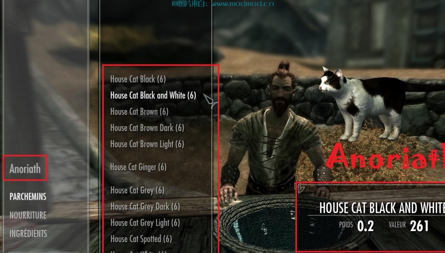 上古卷轴5：重置版MOD 用House Cats SE重新制作天际