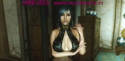 上古卷轴5：天际MOD 刀片和灵魂V1.0