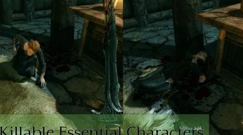 上古卷轴5：重置版MOD Killable Essential Characters Redone  -  ESL已标记