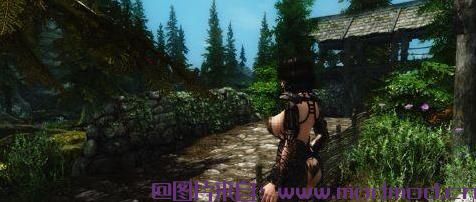 上古卷轴5：天际MOD VampDressV1.0