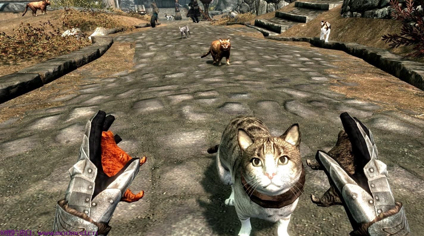 上古卷轴5：重置版MOD 用House Cats SE重新制作天际