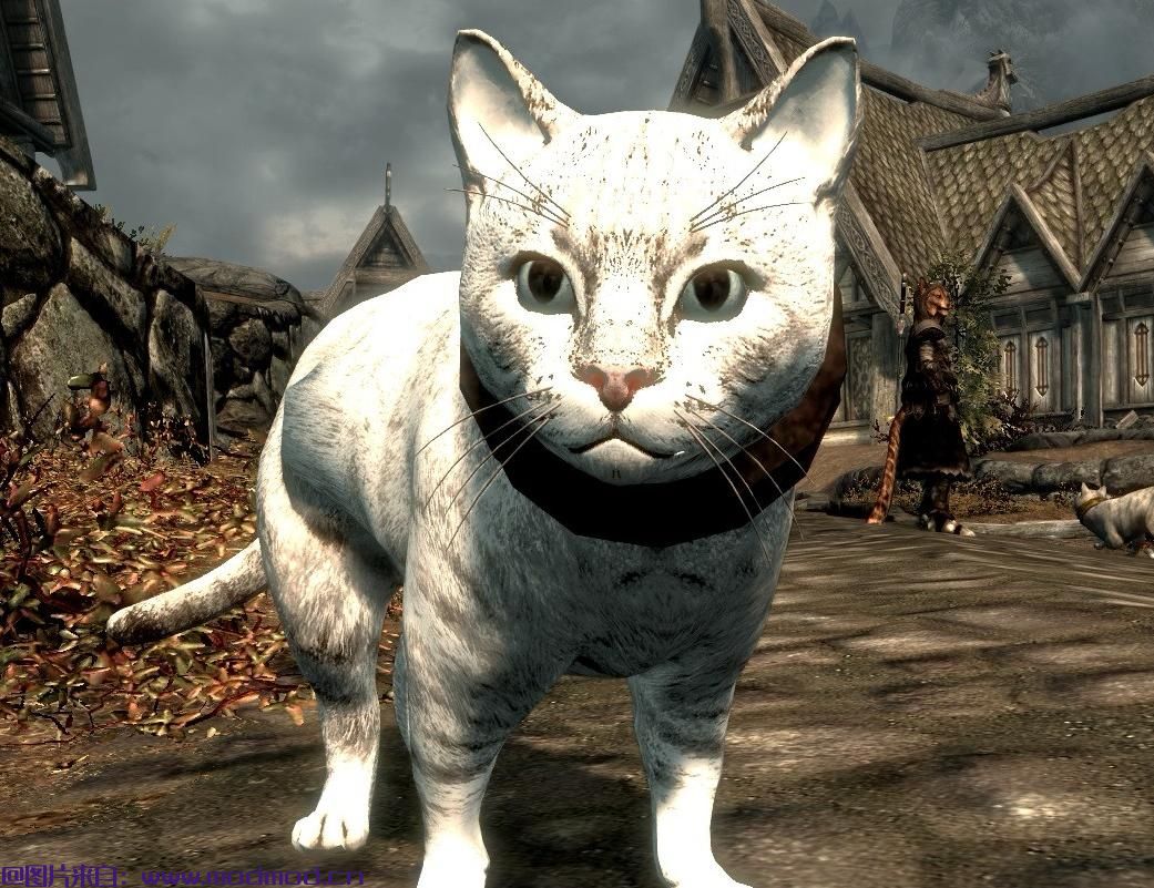 用House Cats SE重新制作天际
