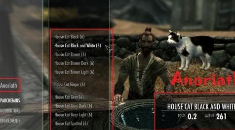 上古卷轴5：重置版MOD 用House Cats SE重新制作天际
