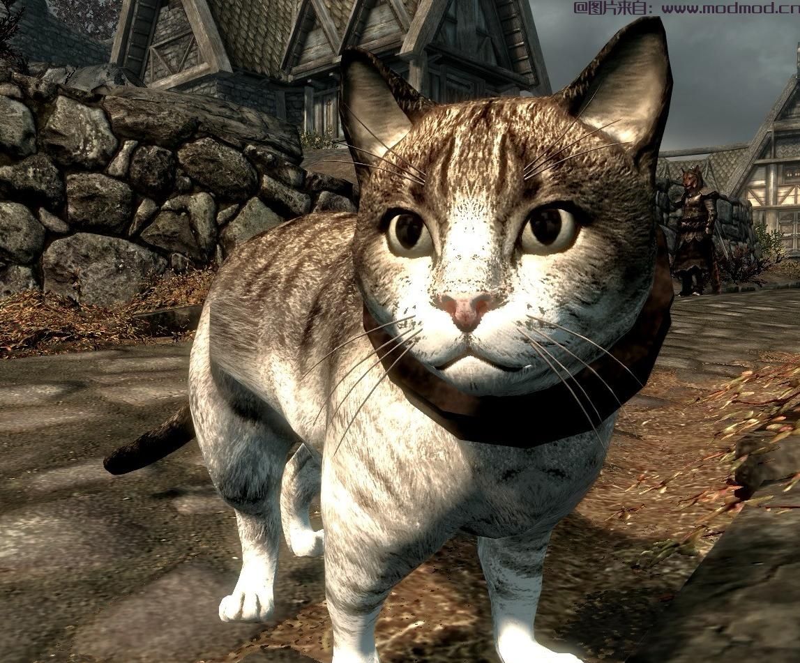 用House Cats SE重新制作天际