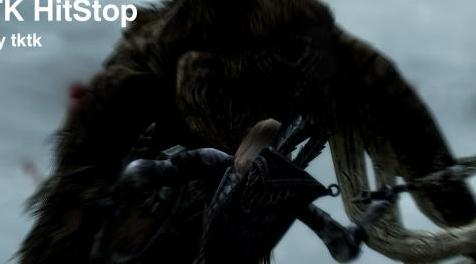 上古卷轴5：重置版MOD TK HitStop SE