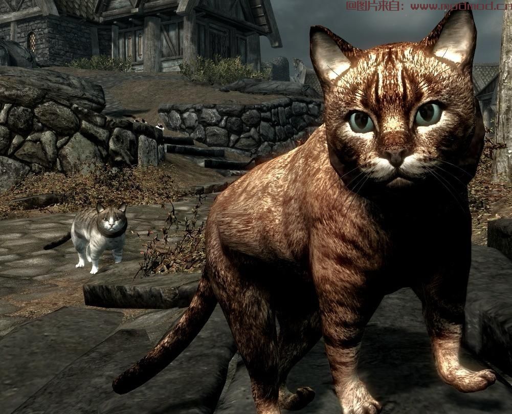 上古卷轴5：重置版MOD 用House Cats SE重新制作天际