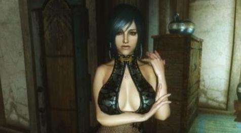 上古卷轴5：天际MOD 刀片和灵魂V1.0