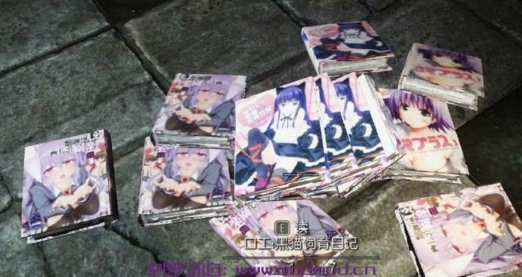 上古卷轴5：天际MOD 全彩中文漫画书MOD