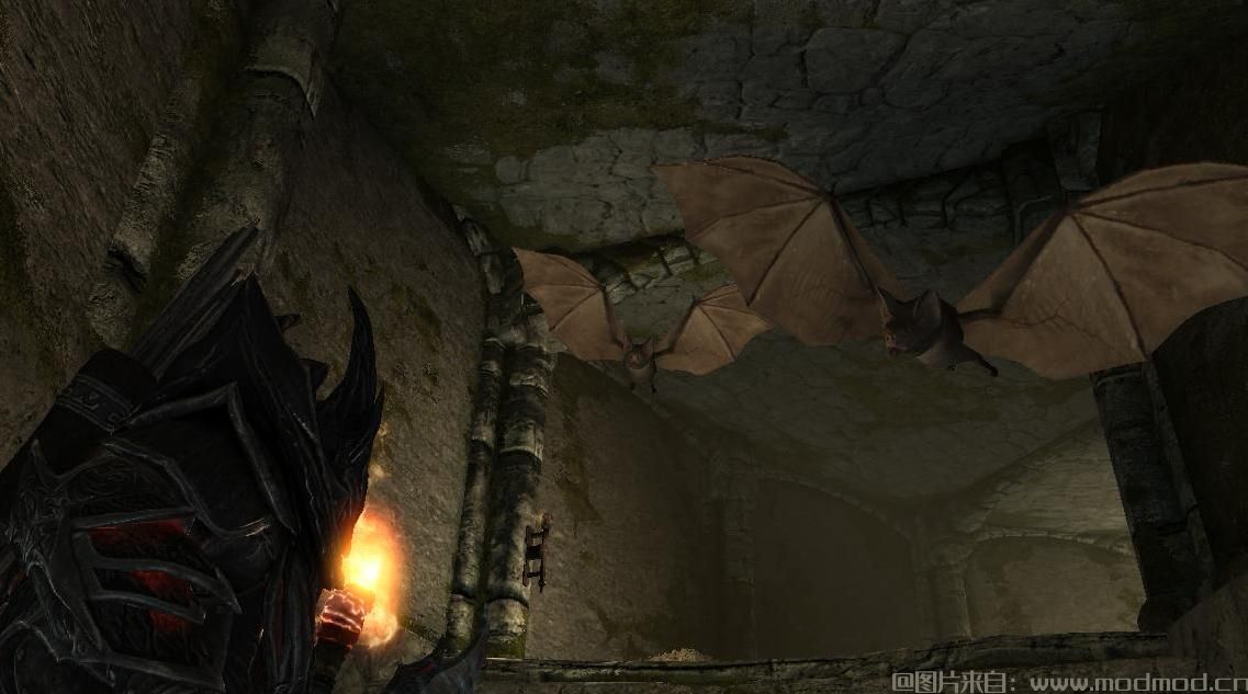 上古卷轴5：重置版MOD 敌人蝙蝠 - 天际元素（SSE PORT）