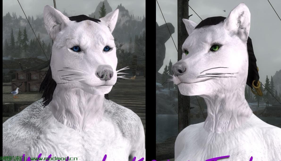 上古卷轴5：重置版MOD 白色Lykaios重新构造