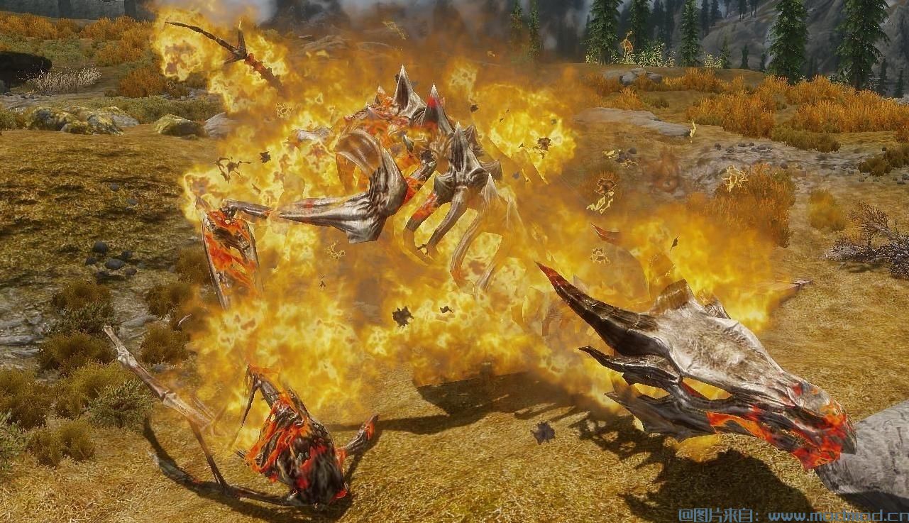 上古卷轴5：天际MOD 【飞龙在天】【Flyable Dragon Races REVAMPED by ElSte17】