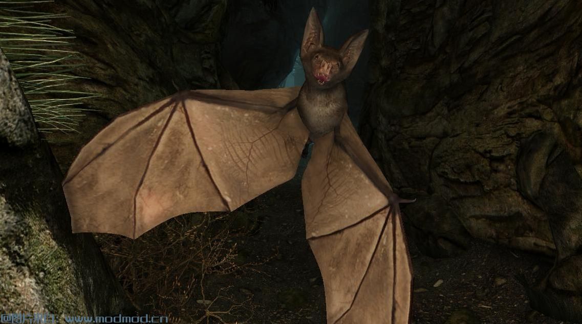 上古卷轴5：重置版MOD 敌人蝙蝠 - 天际元素（SSE PORT）