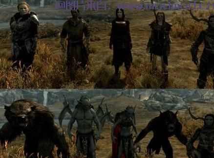 上古卷轴5：天际MOD  解除同伴数量限制2.10版汉化Increased_Follower_Limit