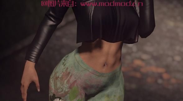 辐射4MOD 彩色护腿 -  CBBE  - 融合女孩 -  BODYSLIDE  -  AWKCR