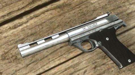 辐射4MOD .44 AUTOMAG