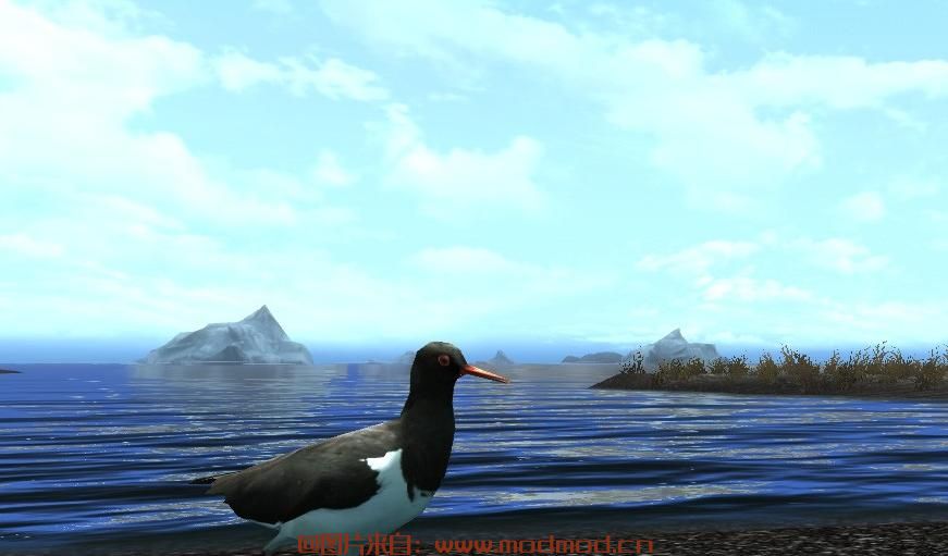 上古卷轴5：天际MOD Birds of skyrim 天际的鸟类