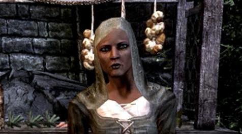 上古卷轴5：天际MOD NPC美化~更新2.0   独孤城  帝国 Aia Arria 艾雅&middot;阿瑞雅