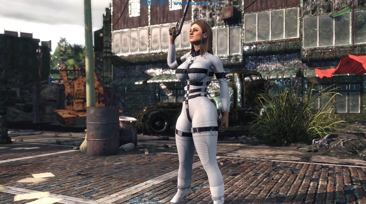 Nova Catsuit I for FO4 - CBBE - Bodyslide