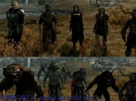 上古卷轴5：天际MOD  【同伴】Increased_Follower_Limit_v2.12汉化