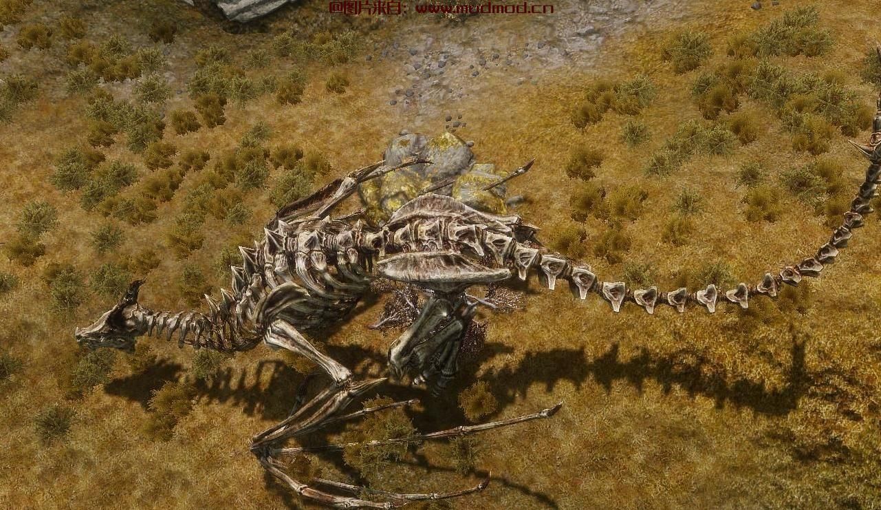 上古卷轴5：天际MOD 【飞龙在天】【Flyable Dragon Races REVAMPED by ElSte17】