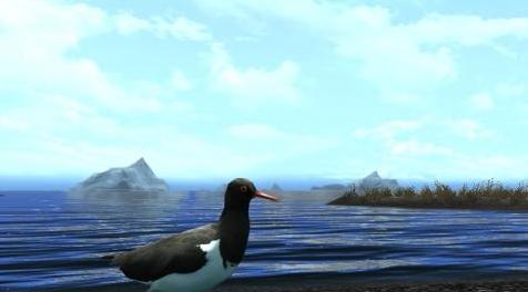 上古卷轴5：天际MOD Birds of skyrim 天际的鸟类