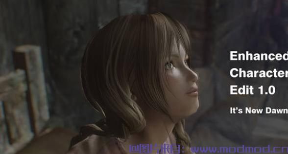 上古卷轴5：天际MOD 【Mark】【捏脸插件】【Enhanced Character Edit】ECE 1.4 簡中漢化版