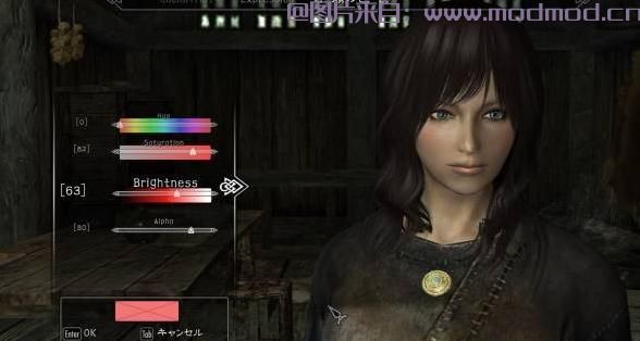 上古卷轴5：天际MOD 【Mark】【捏脸插件】【Enhanced Character Edit】ECE 1.4 簡中漢化版
