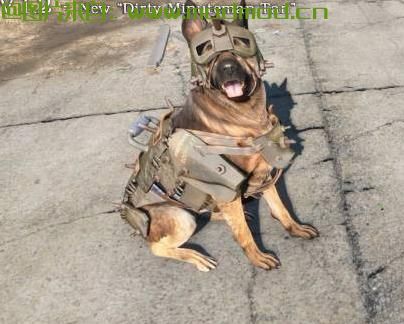 Dogmeat Minutemen Armor