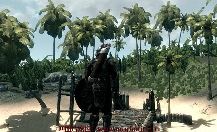 上古卷轴5：天际MOD Pirates of the Pacific 太平洋海盗－v1.1：一封信，一个指令。