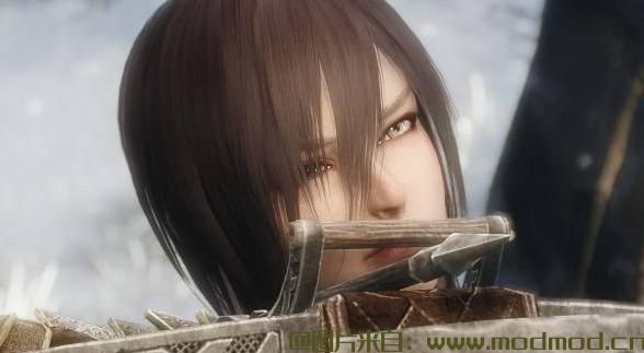 上古卷轴5：天际MOD 汉化 神秘生物的随从 第三弹 猎魔人 维拉