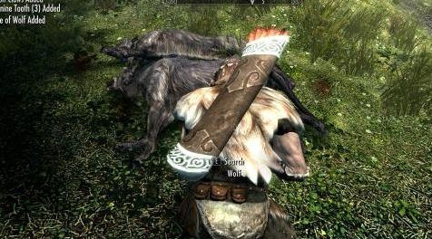 上古卷轴5：重置版MOD 猎人猎食者视觉补丁