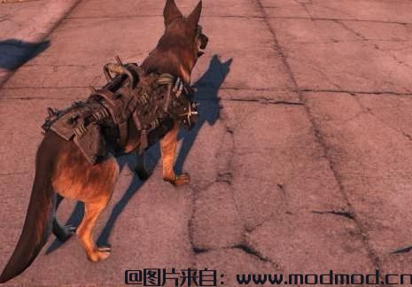 辐射4MOD Dogmeat Minutemen Armor